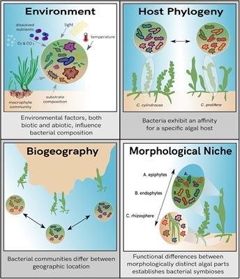 Frontiers Disentangling The Influence Of Environment Host